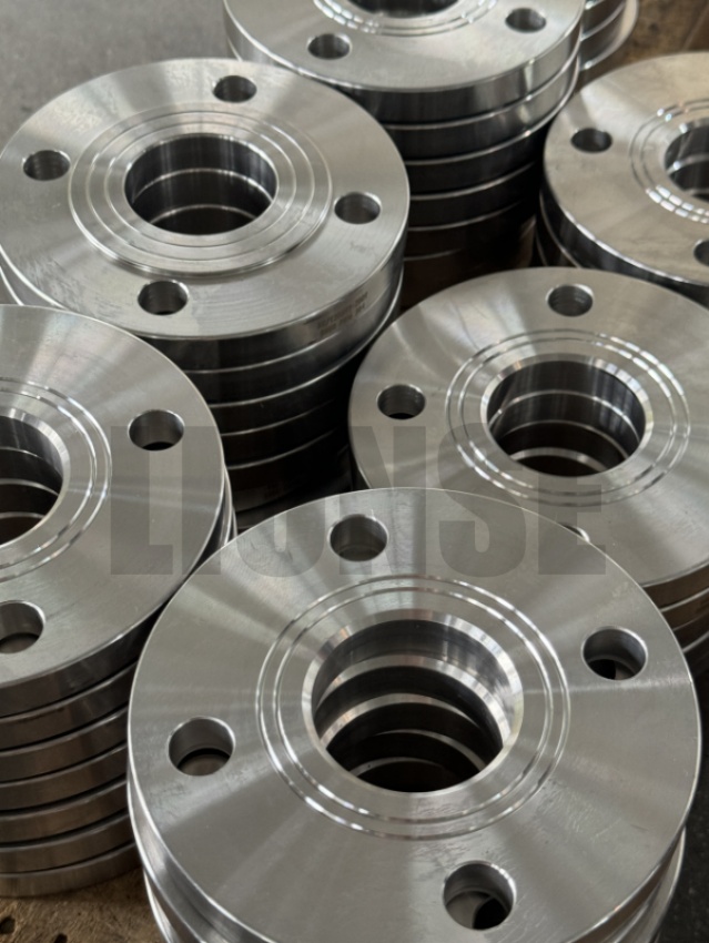 DN50 SS304 Hydraulická zkušební příruba